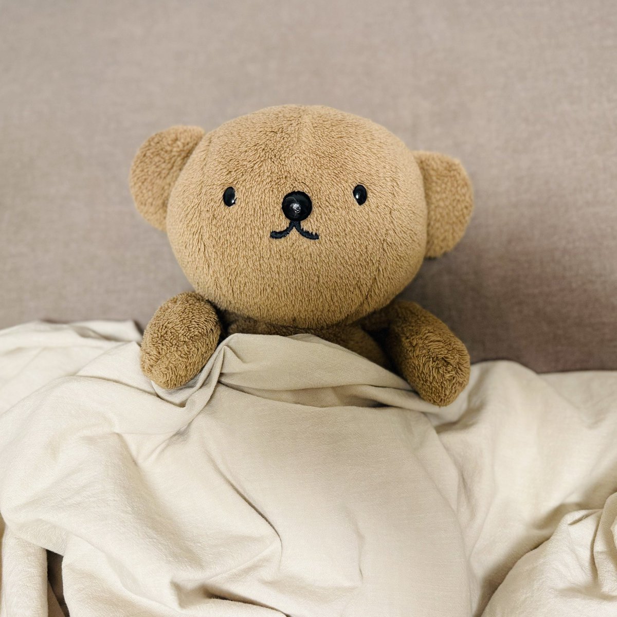 BorisPori's tweet image. あとは寝るだけ( ・ᴥ・ )🌙
