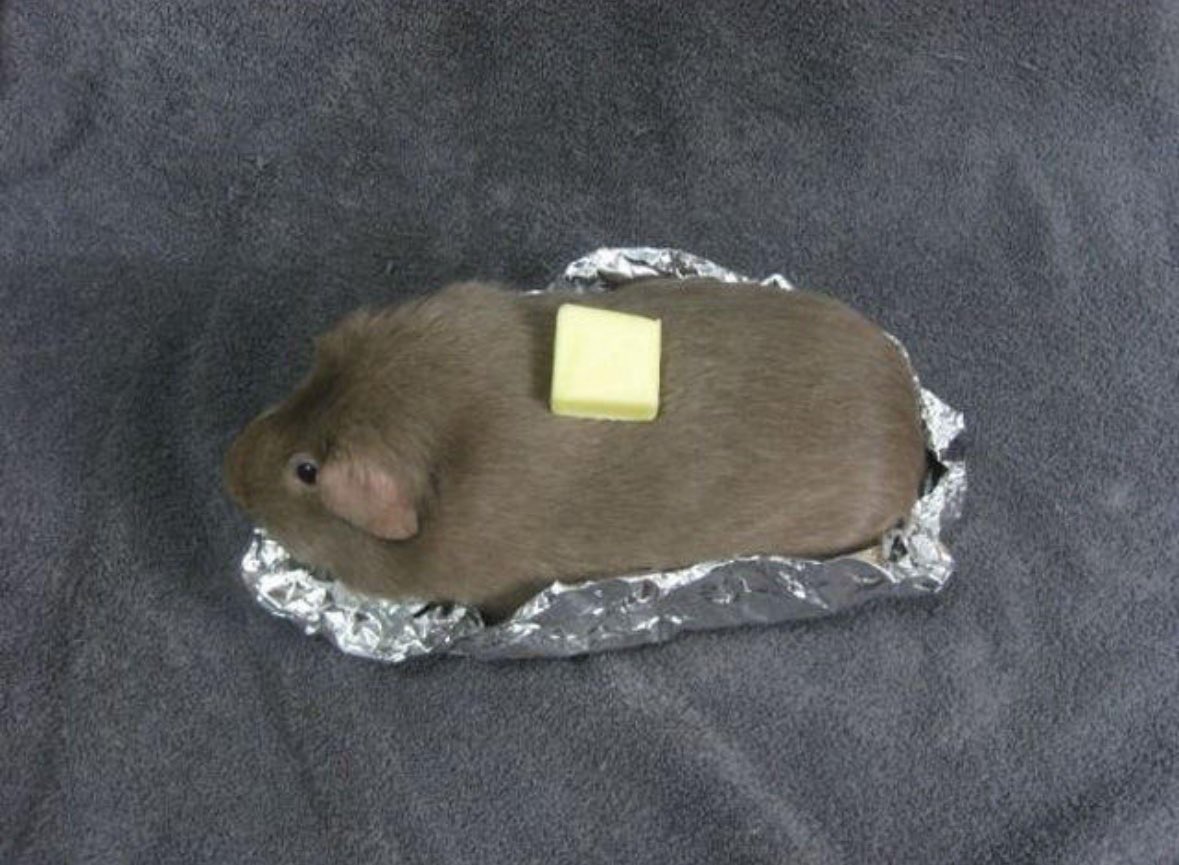 PlumpFun's tweet image. Good Morning . What’s for Breakfast ?