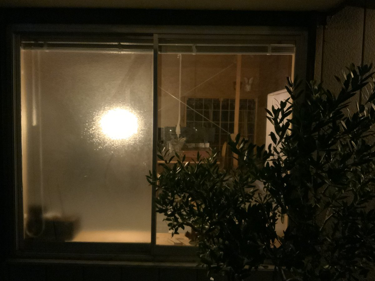 neodymium_boy's tweet image. 堀越一希「七栄の住宅群」。設計者によるブリコラージュと自主施工の世界。ところどころ既存の材を切り貼りしたり、回転移動したり、読み替えたり。建築メディアとは距離をおいた独特の世界がとても良かった。
あと、これほどレゴの「花」シリーズが似合う建築家の自邸もなかなかない。また行きたい。