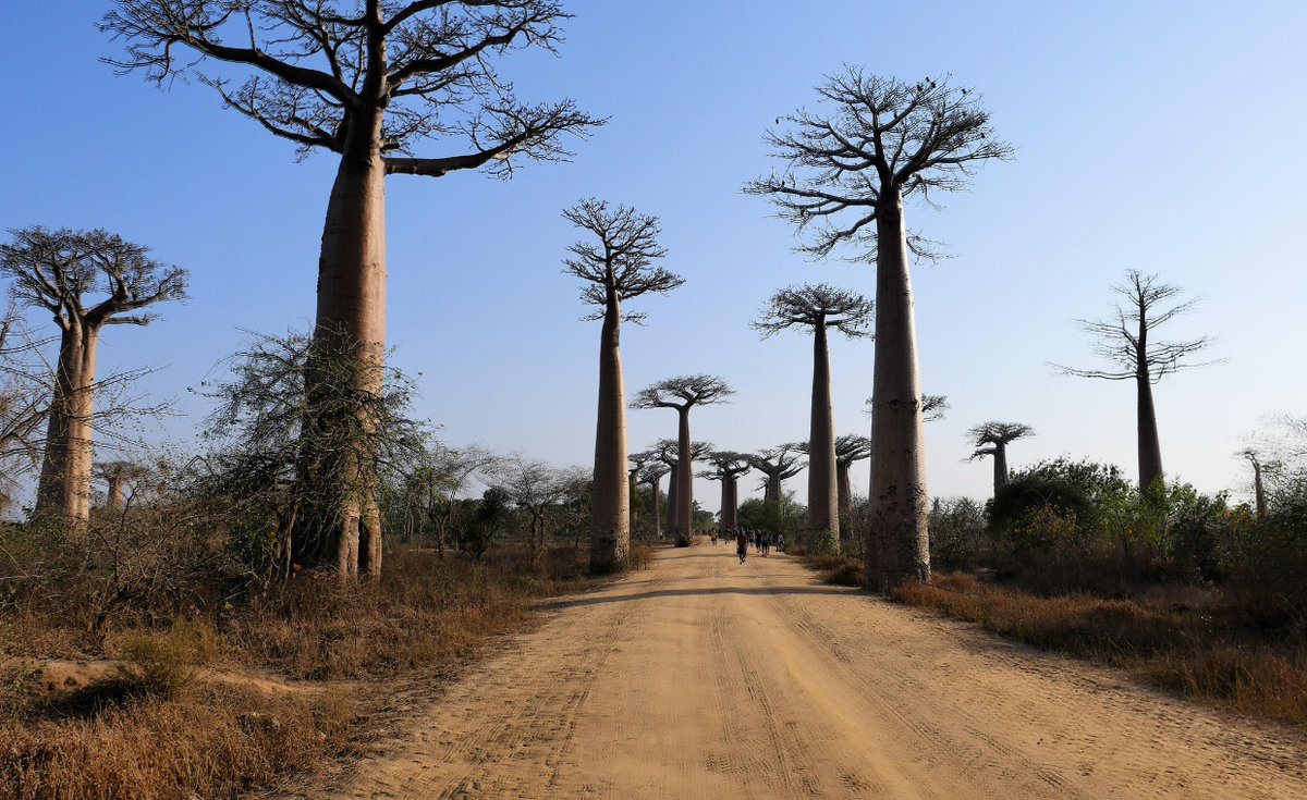 An MU-led project to rescue African climate data has taken a major step forward in its mission to recover vital historical weather data from data-sparse regions of the continent.

maynoothuniversity.ie/news-events/mu…