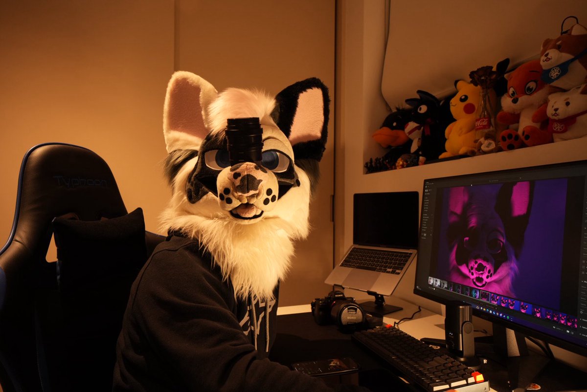 dadogmutt's tweet image. While I’ll only be lobby conning for #Aurawra25 I’ll still be around here and there and hit me up if you want any photos📸🫘