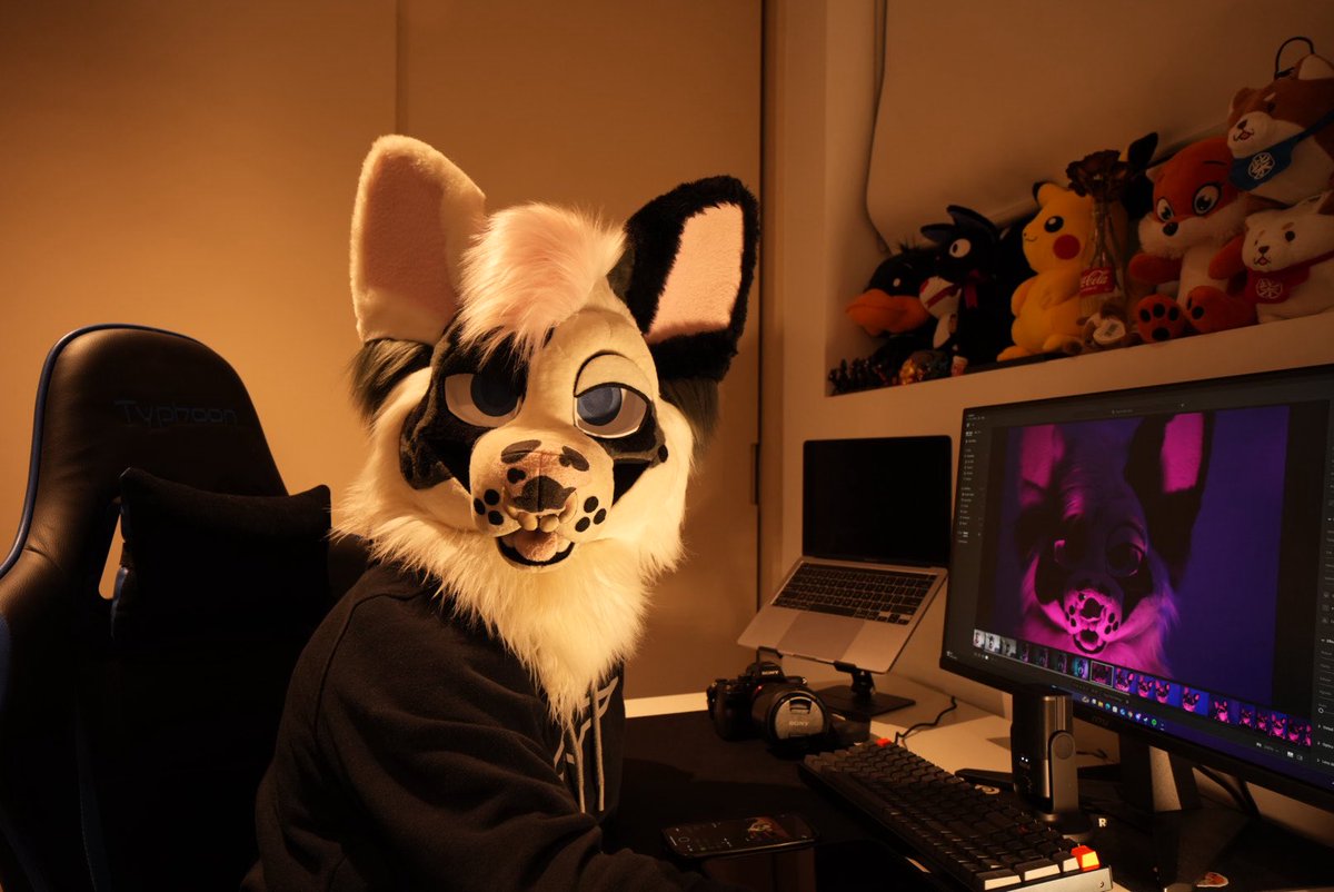 dadogmutt's tweet image. While I’ll only be lobby conning for #Aurawra25 I’ll still be around here and there and hit me up if you want any photos📸🫘