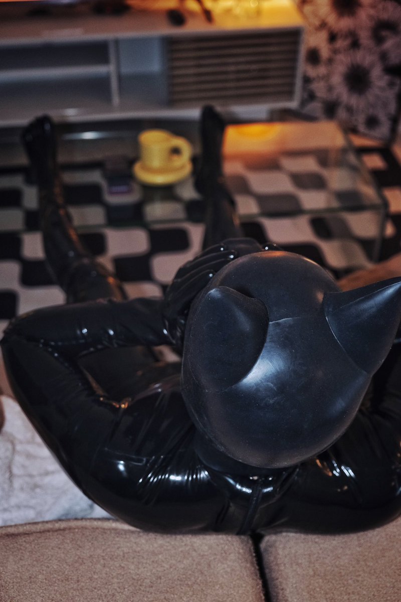 Just a drone pup chill after all the sessions and conversions...

🐶🎭: @furrjoi001