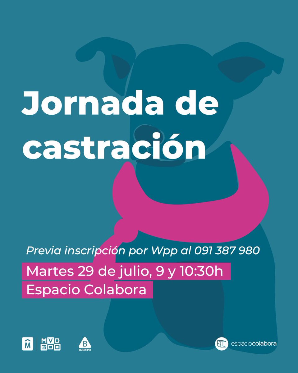 CASTRÁ, ADOPTÁ Y COLABORÁ 👈🙌🐕🐕‍🦺

En el marco del día internacional del perro, el Espacio Colabora junto a la Unidad de Bienestar Animal invitan a una jornada completa. 👇👇