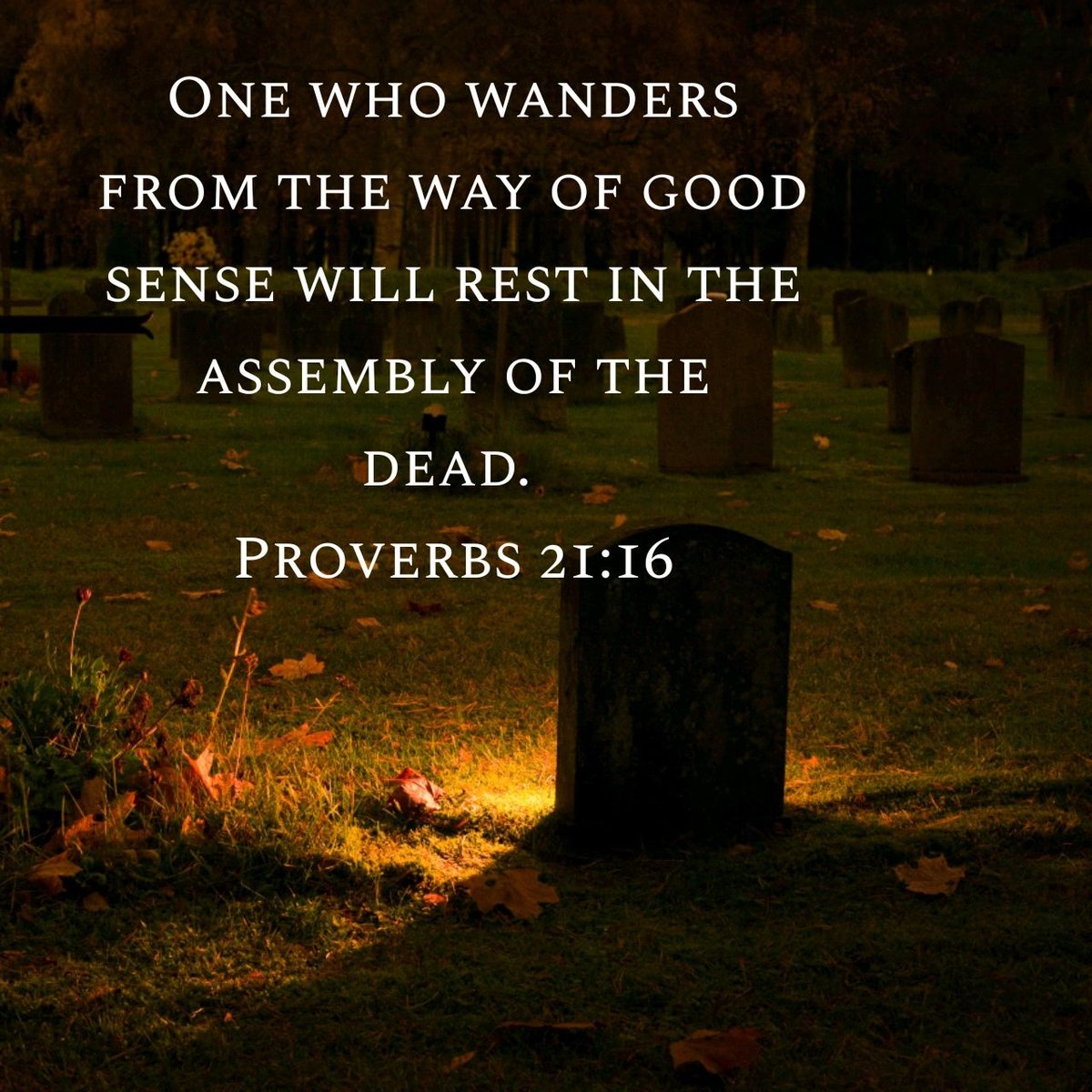 WmHillJr's tweet image. Daily Proverb (7.21.2025) 📖 
#dailyproverb #proverbs #wisdom #bible