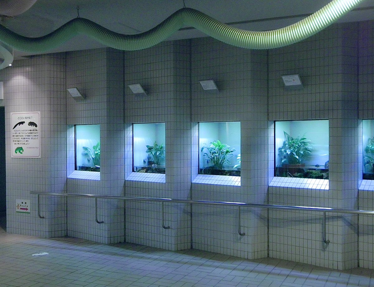 #6 (@nnuf22) on Twitter photo 