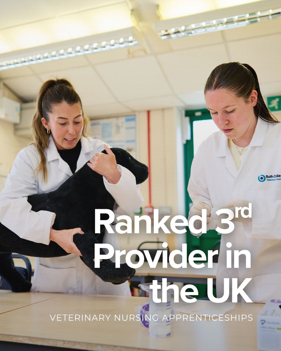 Bath College (@bathcollege) on Twitter photo Did you know? We’re ranked 3rd in the UK for Level 3 Veterinary Nurse Apprenticeships 🎉 With a 91.3% achievement rate in 2023–24. If you’re thinking about joining us as a student or partner, now’s a great time! #VeterinaryNurse #Apprenticeships Did you know? We’re ranked 3rd in the UK for Level 3 Veterinary Nurse Apprenticeships 🎉 With a 91.3% achievement rate in 2023–24. If you’re thinking about joining us as a student or partner, now’s a great time! #VeterinaryNurse #Apprenticeships