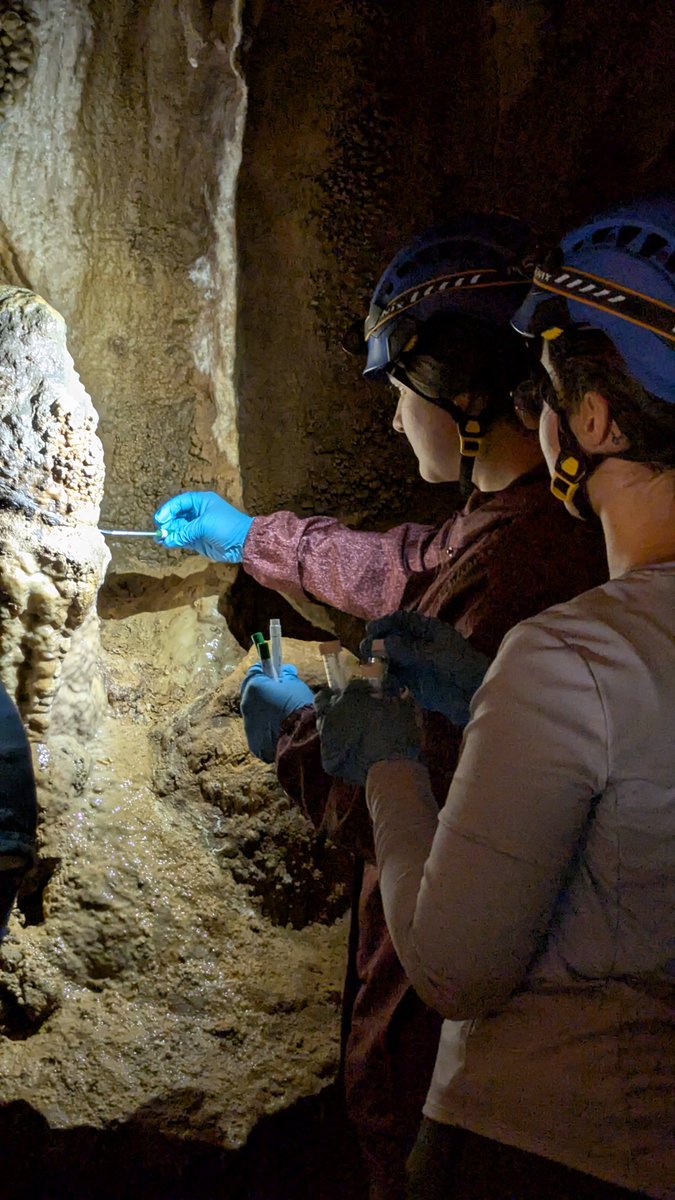 KY Geological Survey (@kgsnews) on Twitter photo At #KGS, our interns are not only on top of the world, they're also underground.
The Potter interns ventured to <a href="/DiamondCaverns/">DiamondCaverns</a> in Park City to help Rachel Washburn with her hunt for microbes. Armed with swabs, scrapers, and sample tubes, the team hit cave walls, sediment, At #KGS, our interns are not only on top of the world, they're also underground.
The Potter interns ventured to <a href="/DiamondCaverns/">DiamondCaverns</a> in Park City to help Rachel Washburn with her hunt for microbes. Armed with swabs, scrapers, and sample tubes, the team hit cave walls, sediment,