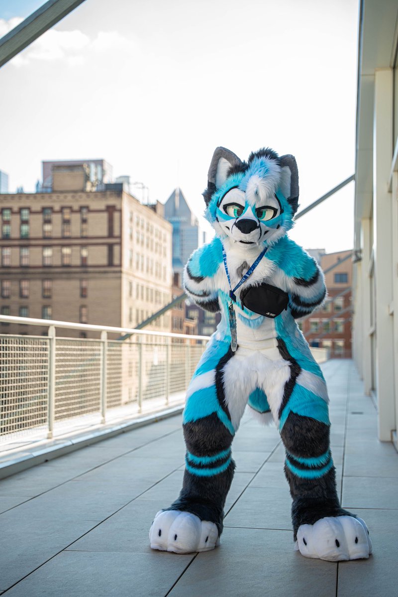 CybrFur's tweet image. Built to bounce. 🐾🩵🌐

🧵 @sheenitude 
📸 @haku_is_a_husky