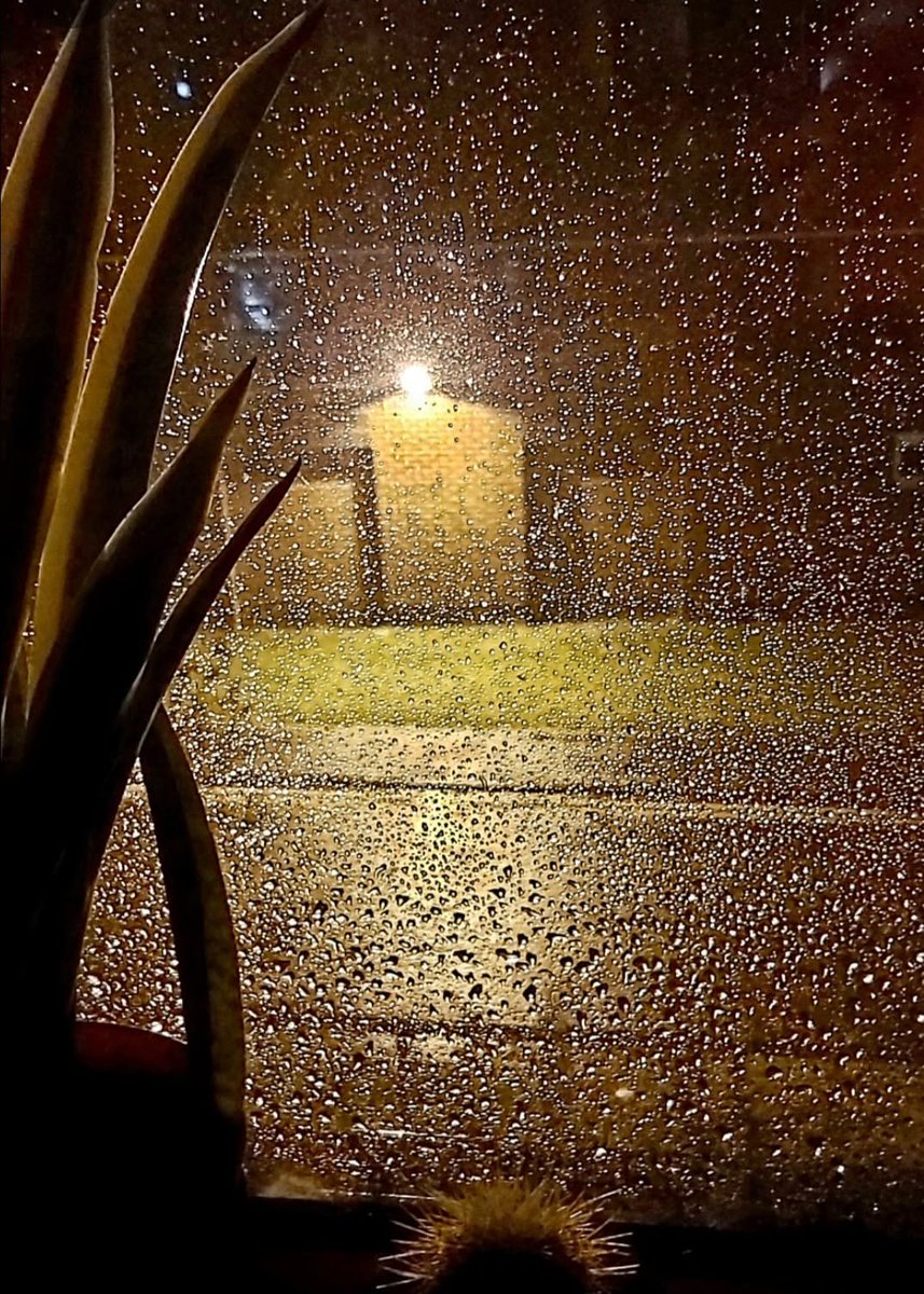 Have a cuddly rainy evening...