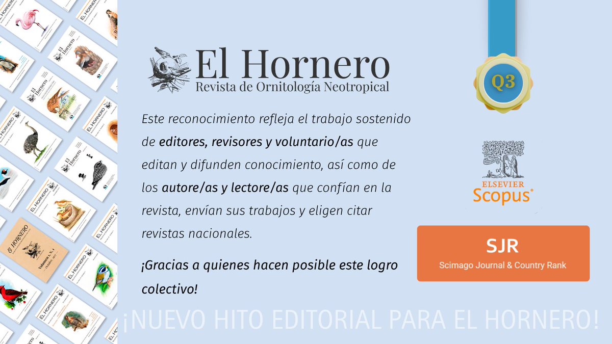 Departamento Científico · Aves Argentinas (@cienciaaves) on Twitter photo ¡El Hornero sigue celebrando su ascenso a Q3 en Animal Science and Zoology según Scopus! Desde 2019, triplicamos artículos y citas, y subimos 14 posiciones entre las revistas científicas argentinas. Un logro colectivo impulsado por editores <a href="/SERGIOLAMBERTUC/">Sergio Lambertucci</a> autores y lectores ¡El Hornero sigue celebrando su ascenso a Q3 en Animal Science and Zoology según Scopus! Desde 2019, triplicamos artículos y citas, y subimos 14 posiciones entre las revistas científicas argentinas. Un logro colectivo impulsado por editores <a href="/SERGIOLAMBERTUC/">Sergio Lambertucci</a> autores y lectores