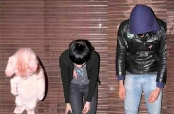 PunchingCat's tweet image. 