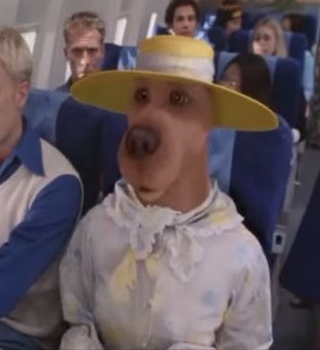 lia (@jaejunfilm) on Twitter photo 