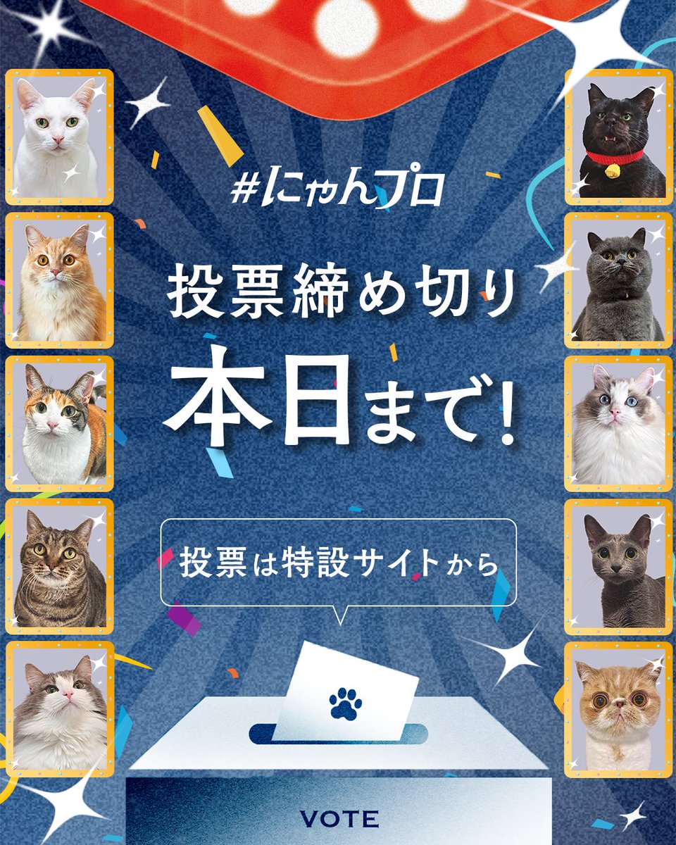 nyanpro_mercari's tweet image. ◤◢◤ にゃんプロ 本日投票締切‼️◢◤◢
#にゃんプロ の投票は本日18時まで!!
一体どの猫ちゃんがファイナリストになるのか....👀
決めるのは、あなたの一票です!
あの猫ちゃんも、この猫ちゃんも魅力がありすぎて選べないにゃ〜💕
忘れずに投票するにゃ🐾
🗳️投票期間
7月5日(土) 10:00…