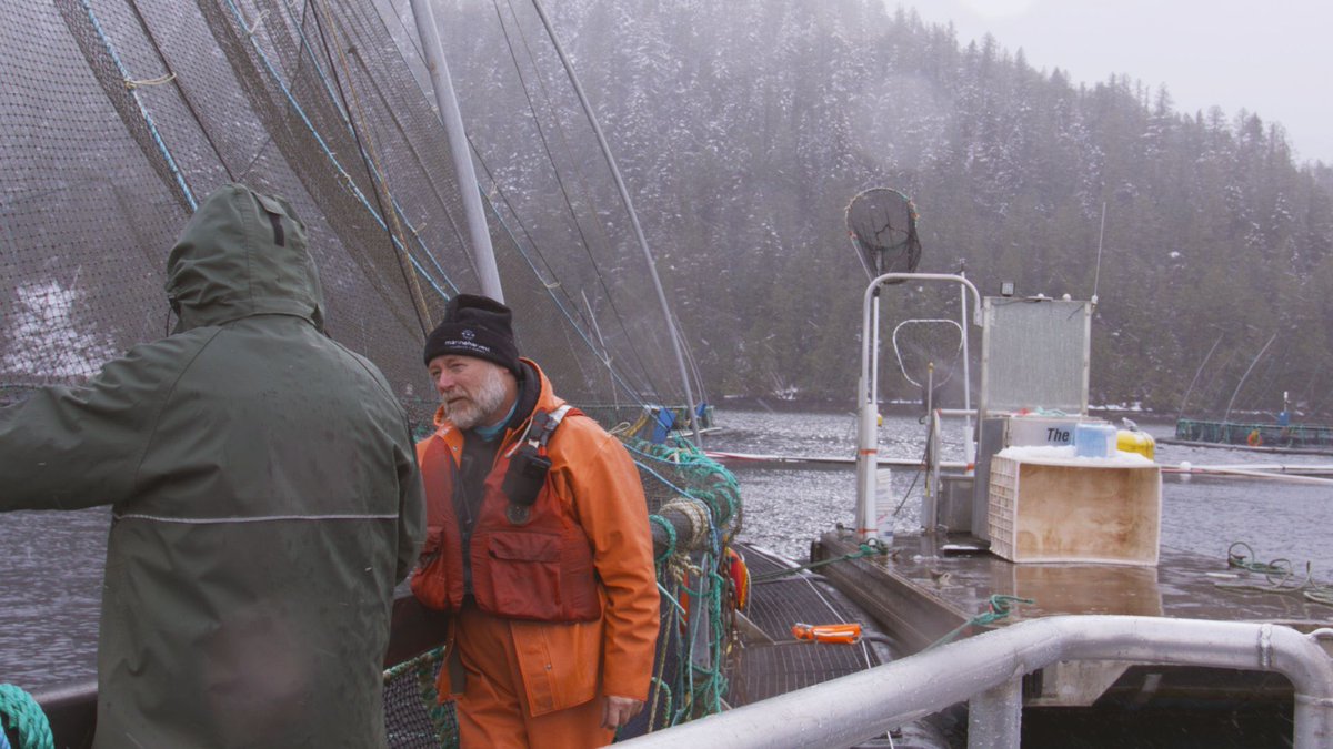 At Kitasoo Seafoods, nearly everyone in our community has a job—bringing unemployment down to just 1%. Honour UNDRIP so it stays this way. <a href="/MarkJCarney/">Mark Carney</a> #foodsecurity #sustainablesalmon #UNDRIP #rightsandtitle