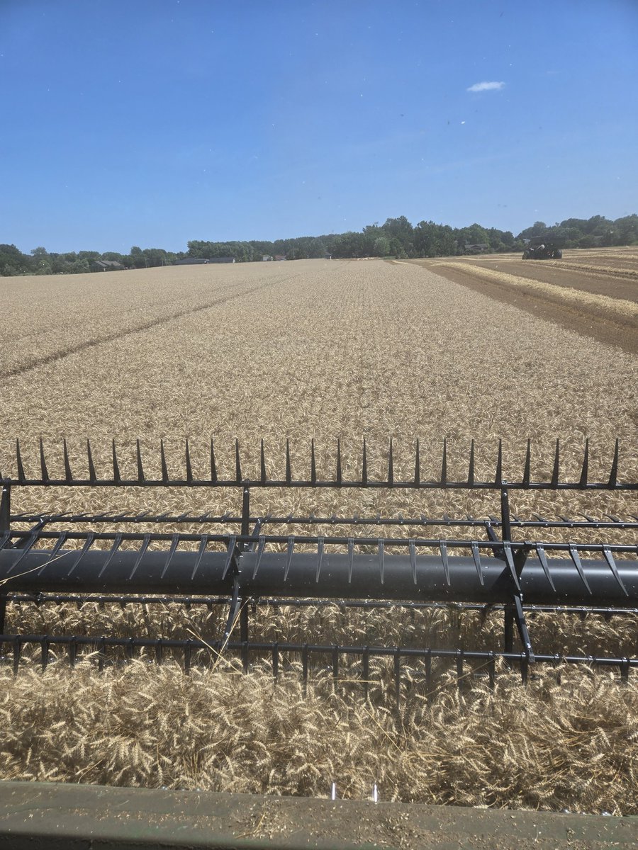 Ian McKillop tweet media