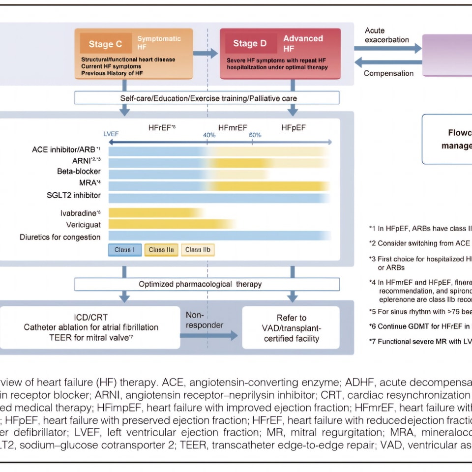 🔴 2025 JCS/JHFS Guideline on Diagnosis and Treatment of Heart Failure⤵️  *New*

🔹onlinejcf.com/article/S1071-… 
 #FOAMed #MedEd #medstudent #paramedic #Cardiology #CardioEd #medtwitter #meded #CardioTwitter #cardiotwiteros  #MedX #cardiovascular #MedTwitter #medical #medEd