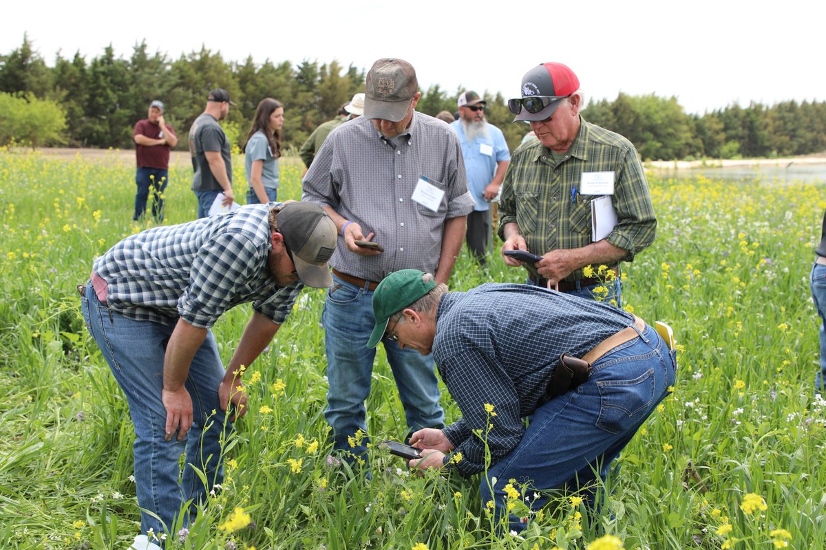 Each year we host our annual soil health field days to give folks the chance to interact with dozens of different cover crop species.

Join us this year in Bladen, Nebraska on August 12th or 15th for a day full of networking and learning!

During these events we take attendees on