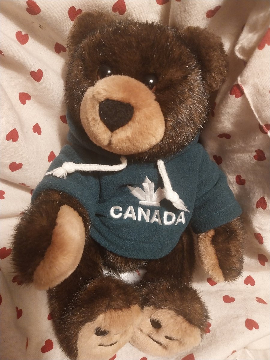 Hey, anyone know any nice Canadian she bears? <a href="/BellaandGnector/">Gnector&Bewwa</a>