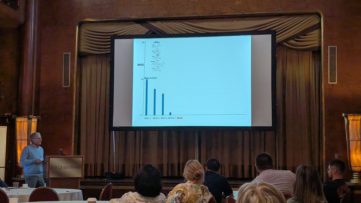 RebeleinLab's tweet image. Excited to be at the Molybdenum Tungsten Enzyme Conference MoTEC on the Queen Mary in Long Beach, CA. Entertaining presentation by Ralf Mendel!