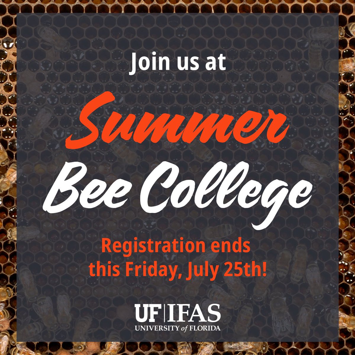 Summer Bee College is NEXT MONTH! 🐝

Will we see you in Seminole, FL on August 22nd &amp; 23rd? Don't forget, registration ends this Friday, July 25th!

There are a limited number of seats, so register now! You can get tickets at the link below.

eventbrite.com/e/summer-2025-…