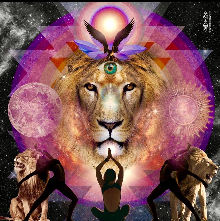 Arawn_scilla's tweet image. Lion&apos;s gate portal opens on July 26th #LEO