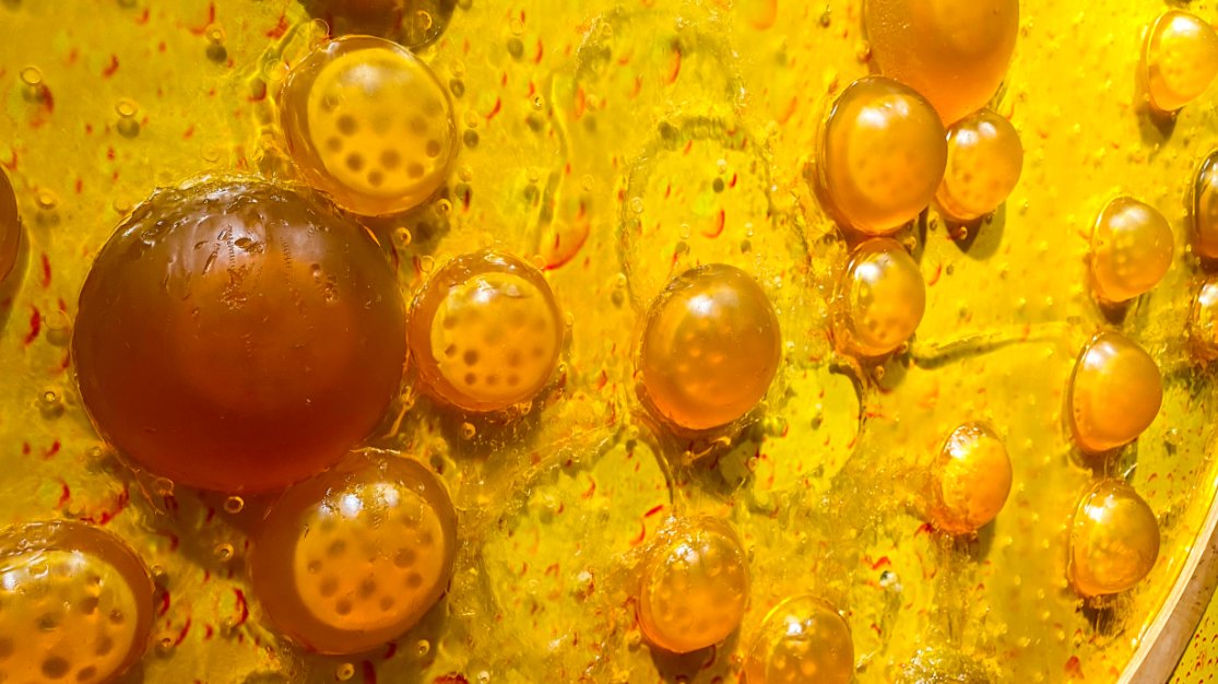 🍄Fungi – friends and foes
Dive into the fascinating world of #fungi with new guest writer Mark Crumpton.

From vineyard villains like mildew &amp; Botrytis to the hidden heroes behind soil health &amp; fermentation.

Read more in July’s #VineyardMagazine – link in bio.

#viticulture