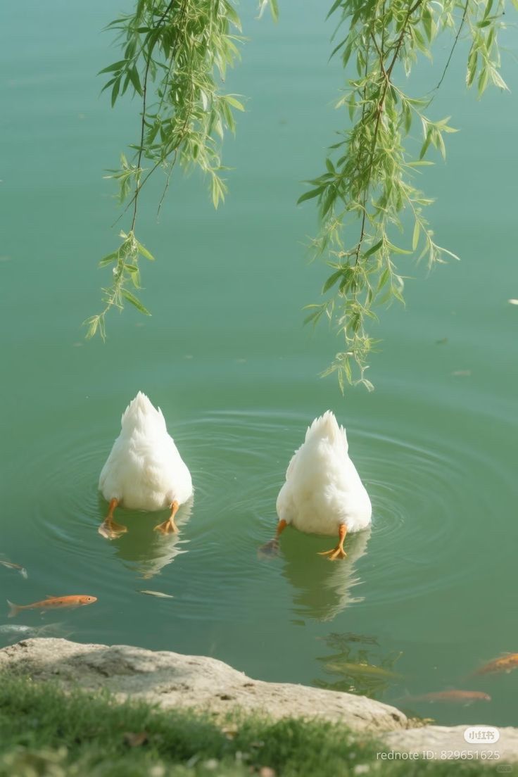 IrenaBuzarewicz's tweet image. July 21