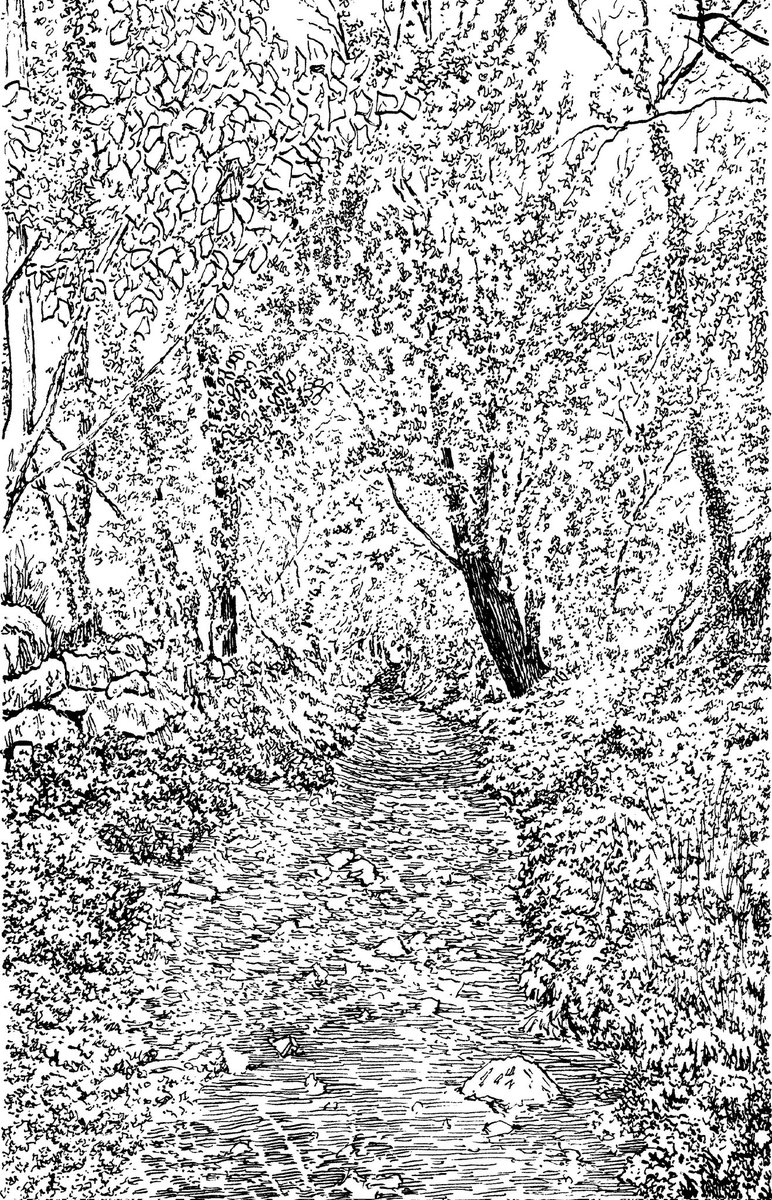 thelonningsguy's tweet image. I'm looking forward to spending tomorrow morning with Mark Richards (@fellranger1) at @ArmittMuseum. Mark drew the wonderful pen and ink illustrations for The Postal Paths.