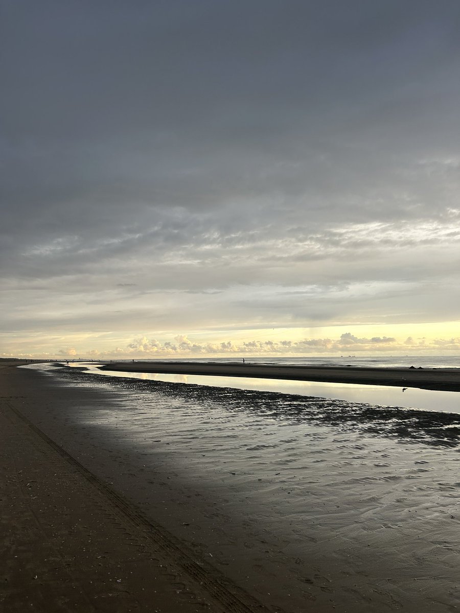 ultracrap's tweet image. booked the cheapest hostel i could find near amsterdam and now im on a beach