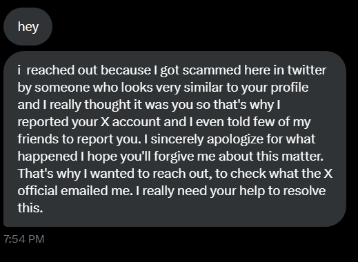 shirazelart's tweet image. please be careful about this form of scam !! it's the third artist account in a row that sent me this type of DM