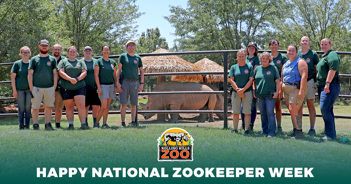 RHZoo's tweet image. It’s #NationalZooKeeperWeek, & we’re celebrating the amazing team at #RollingHillsZoo who care for our animals and inspire conservation every day! Follow us on FB or IG as we spotlight their favorite animals daily 'til Sunday! ❤️🌍 #NZKW2025 #IAmAKeeper