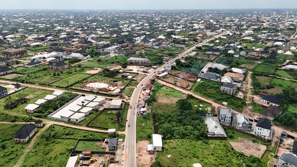 Daniel_Chilax's tweet image. 