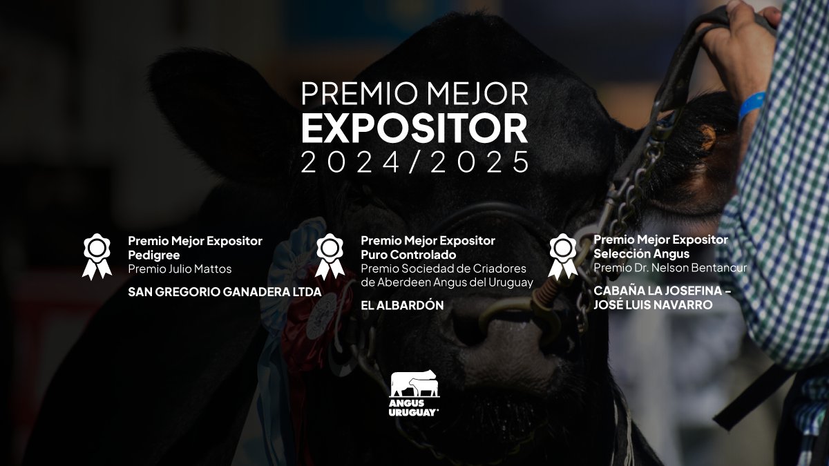 Mejor Expositor en Pista Categoría Pedigree, Puro Controlado y Selección Angus.
¡Felicitaciones a las cabañas ganadoras! 🎉
Compartiremos el listado completo de puntuaciones y cabañas en nuestro anuario 2025. 👏✨
