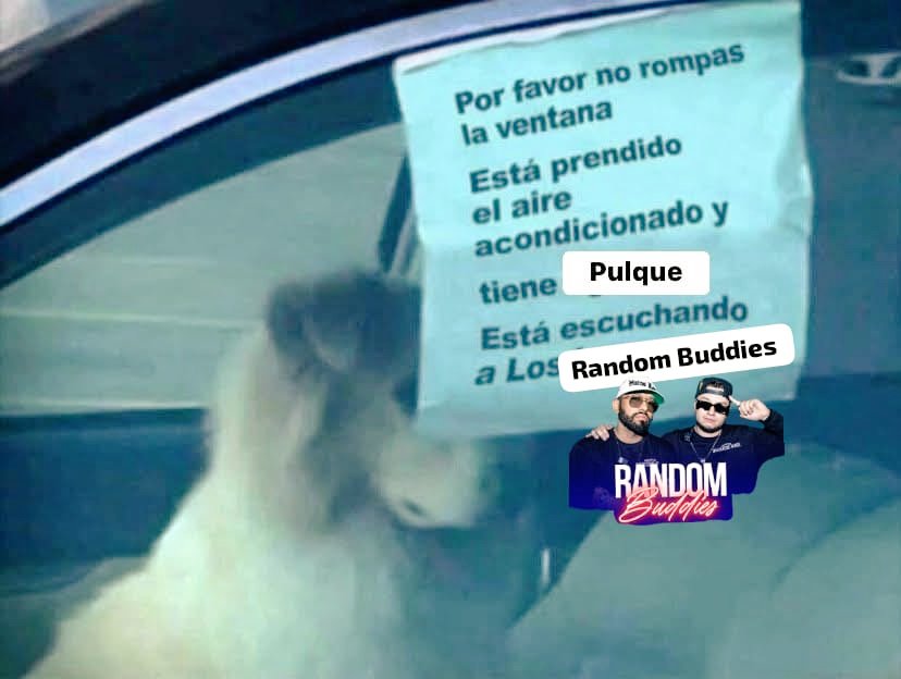 <a href="/BEATOFICIAL/">BEAT 100.9 FM</a> <a href="/DenseConSalcedo/">Negro Salcedo</a> <a href="/AndreDyrdeck/">Andre Dyrdeck</a> #BeatRANDOM
Buenas tardes estrellitaaaaassss, la tierra les dice Holiiis, gracias por alegrarnos el día. Son el mejor dúo explosivoooo del mundo mundial