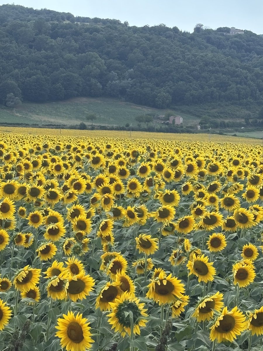 #summer #umbria #italy