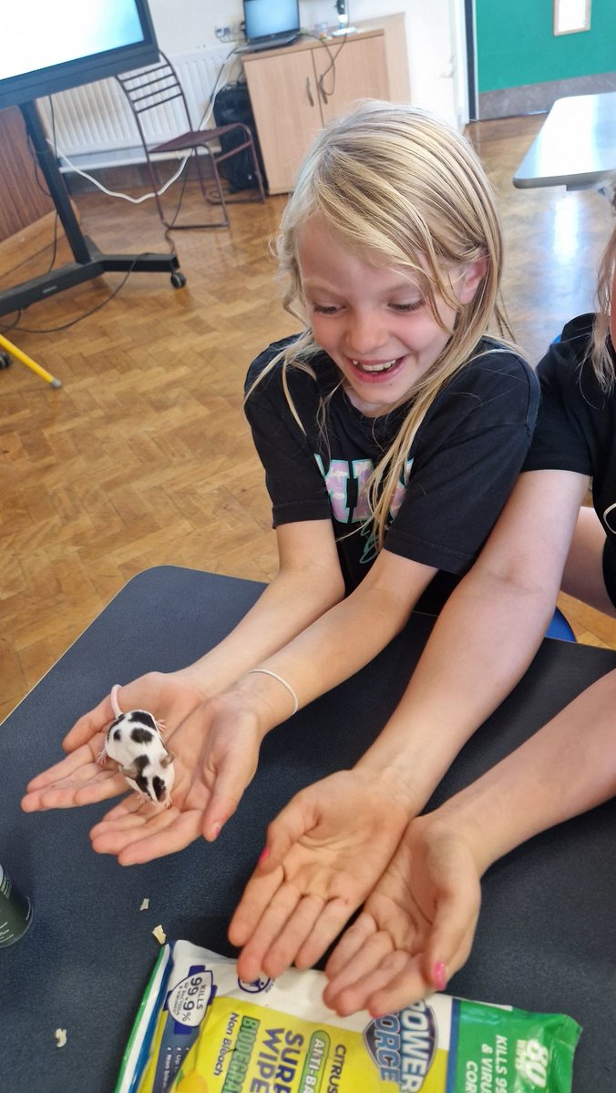 YsgolPenmorfa's tweet image. A busy first day at this year's @foodandfunwales programme!
We had a brilliant workshop from Wild Workshops, learning about and meeting some native UK Wildlife!
@WelshLGA #FoodandFunWales