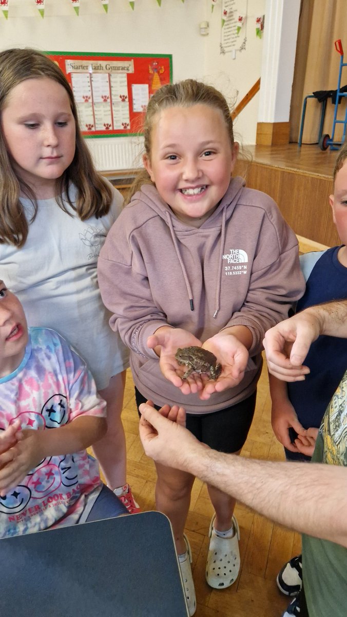 YsgolPenmorfa's tweet image. A busy first day at this year's @foodandfunwales programme!
We had a brilliant workshop from Wild Workshops, learning about and meeting some native UK Wildlife!
@WelshLGA #FoodandFunWales