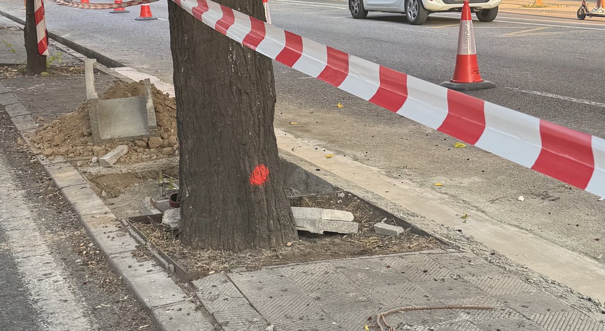 estertort's tweet image. Algú pot explicar el projecte del que s’està fent a Prat de la Riba de #Lleida ? La sensació és que es van fent pegats i tallant arbres …suposadament justificat per un canvi de lluminàries…