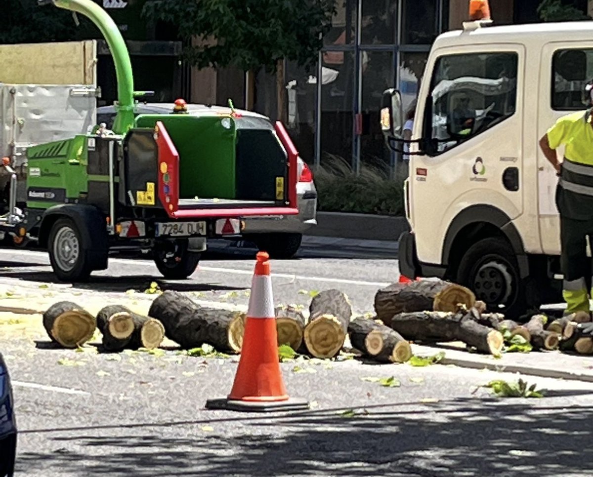 estertort's tweet image. Algú pot explicar el projecte del que s’està fent a Prat de la Riba de #Lleida ? La sensació és que es van fent pegats i tallant arbres …suposadament justificat per un canvi de lluminàries…