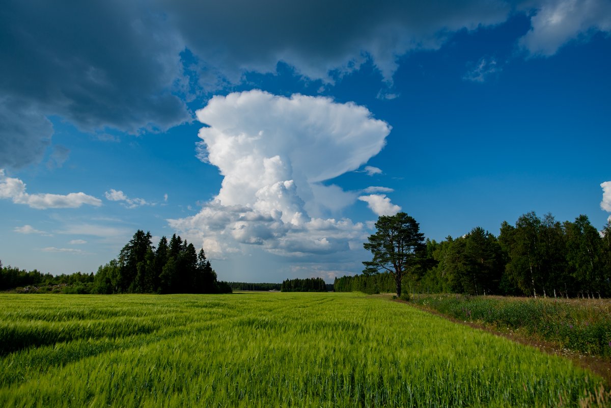 Jariy's tweet image. Ukkostava solu  Alavieskassa tänään iltapäivällä. #ukkonen