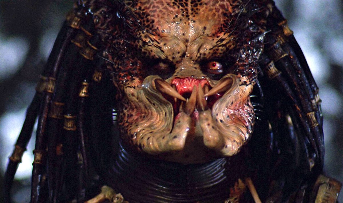 NaulsThingDB's tweet image. One ugly...