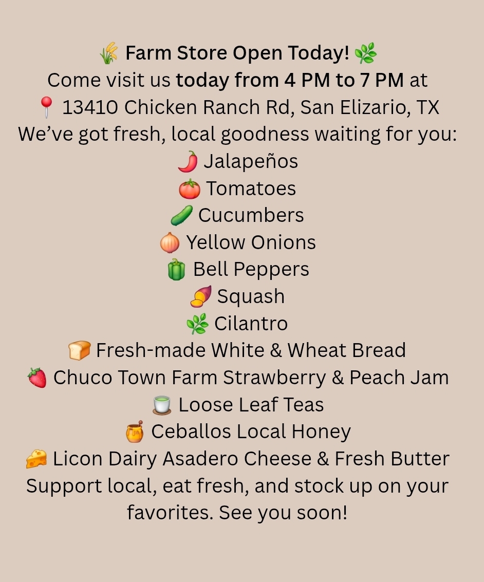 Chuco Town Farm (@chucofarm) on Twitter photo 