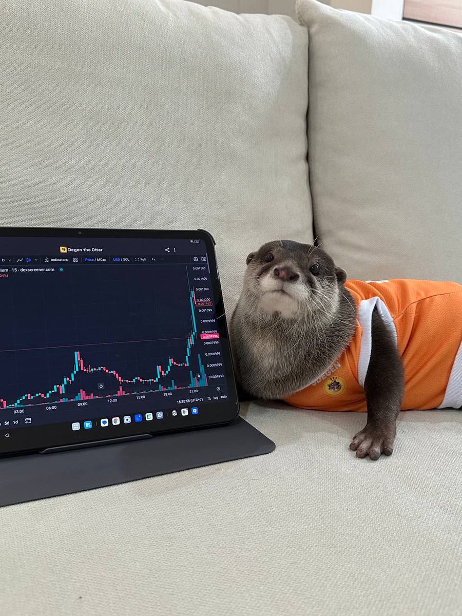 degenonbonk's tweet image. Woohoo, 1K followers here on X 🦦
Only 8,399,000 more to catch up with my TikTok 🦦🚀
Challenge accepted. $DEGEN
#DegenOnBonk #BONK #CryptoTwitter