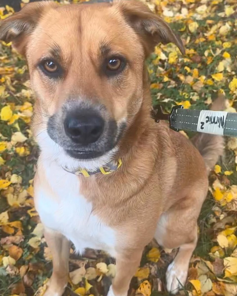 Angela_Defea11's tweet image. 🤭