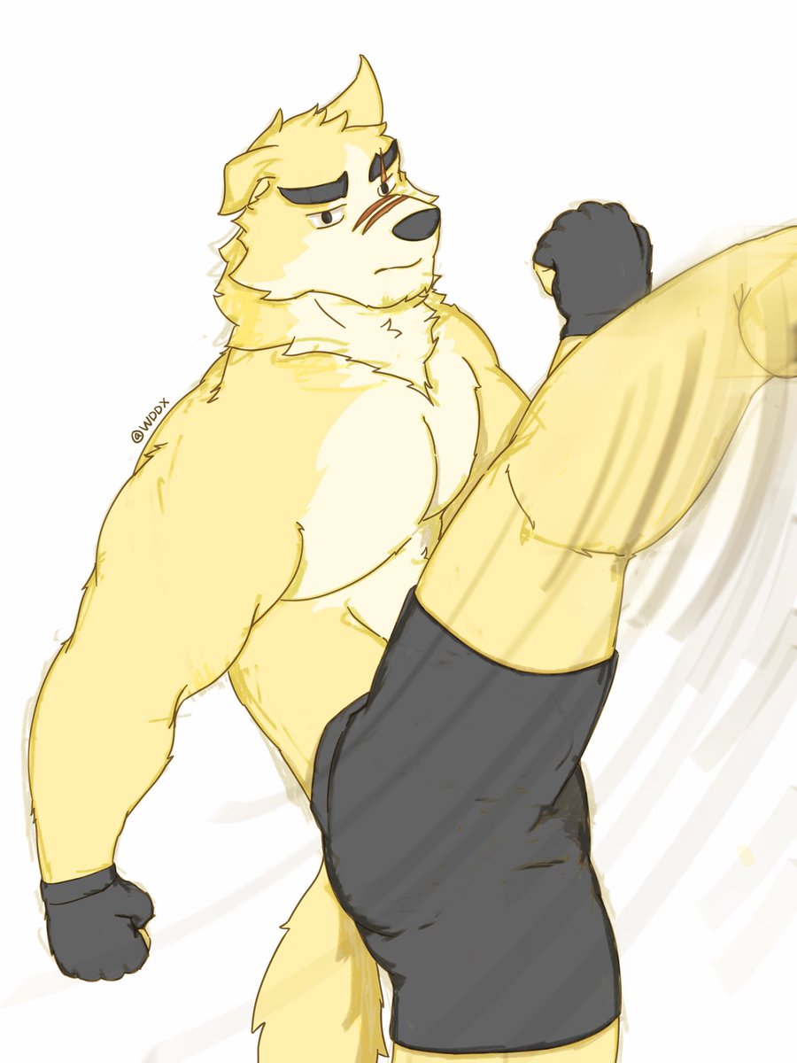 WDDX (@wddx17) on Twitter photo Lance landing a spinning kick:
<a href="/RtFVN/">Remember the Flowers</a>
#furry #RtFVN #RememberTheFlowers Lance landing a spinning kick:
<a href="/RtFVN/">Remember the Flowers</a>
#furry #RtFVN #RememberTheFlowers