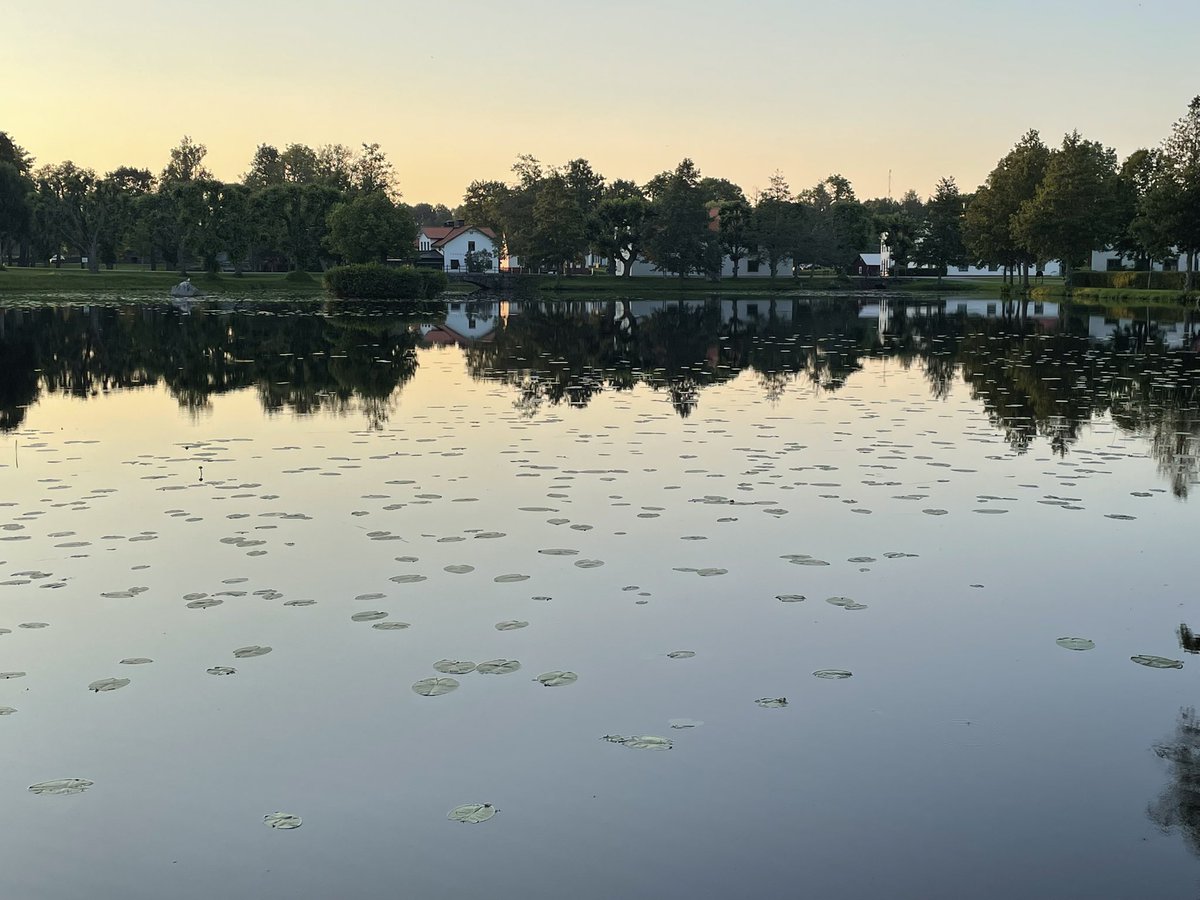 Varit i Gävle en sväng och hälsat på vänner, men är nu ute på landet igen.