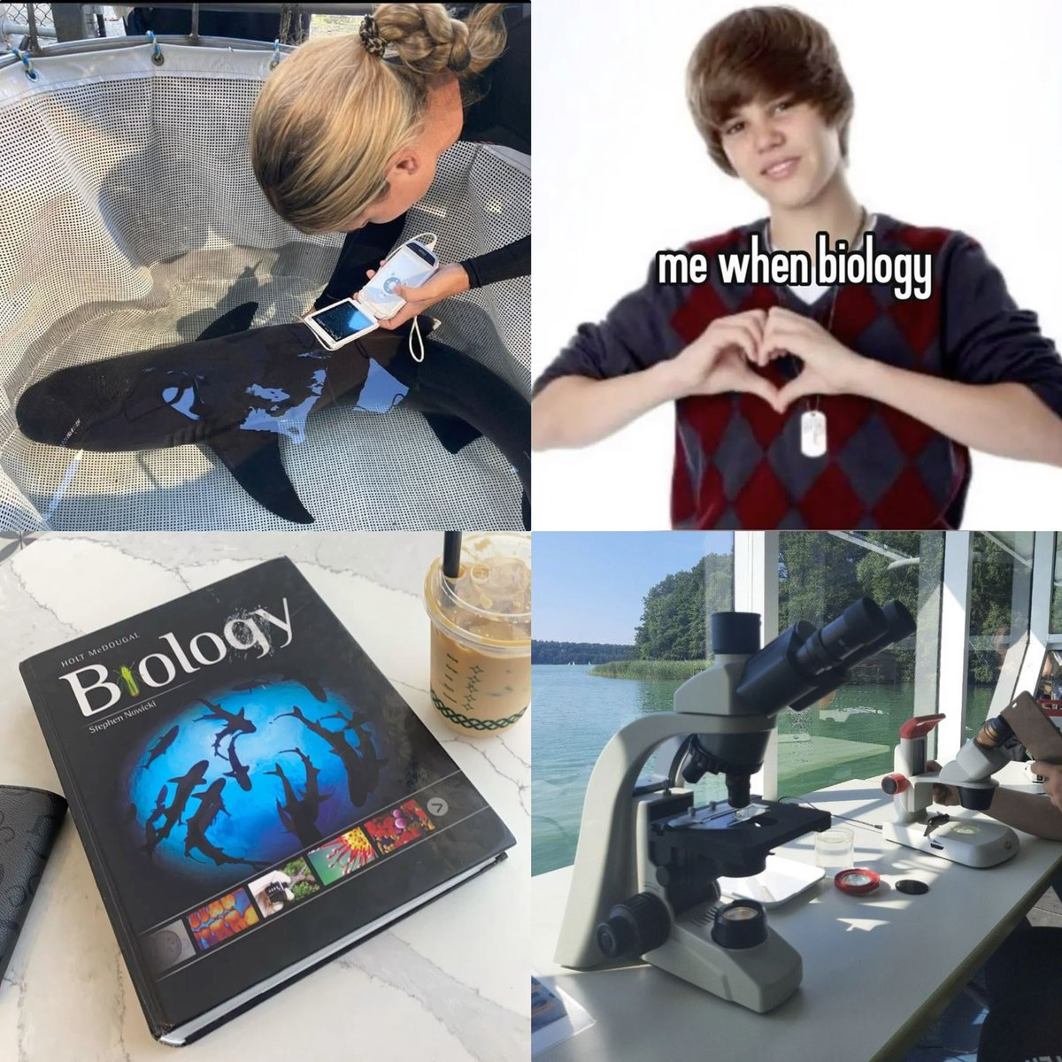 your bias vs your degree