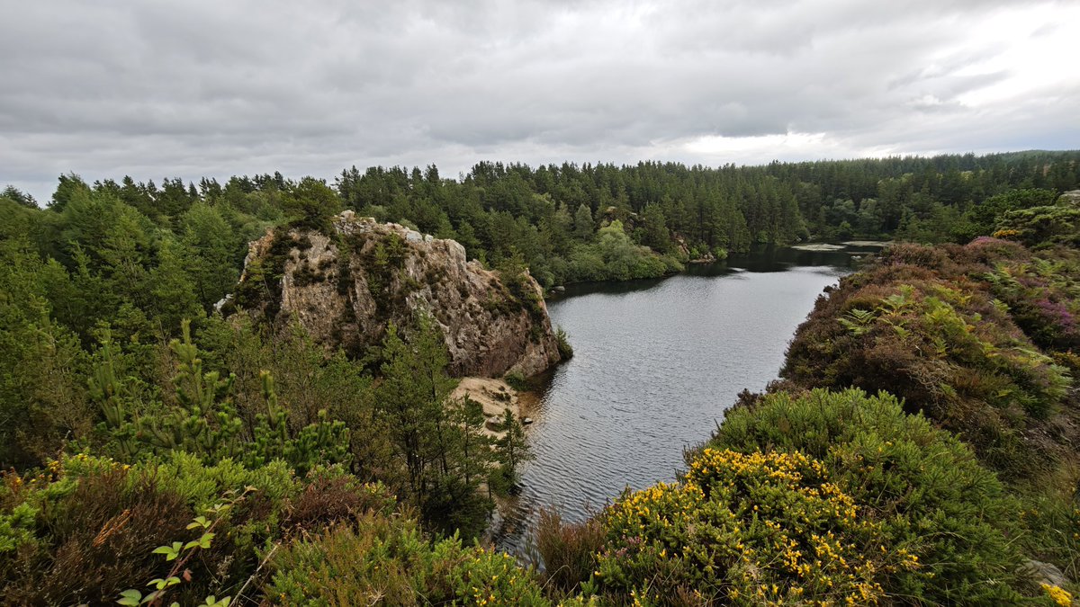 vcacic's tweet image. Carrigfoyle Quarry
#Ireland #lake #nature #NaturePhotography #NatureLover #NatureVibes #hikingadventures #hiking #vibes