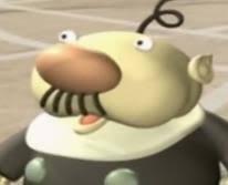 Pookadoodles1's tweet image. Do my eyes deceive me?!